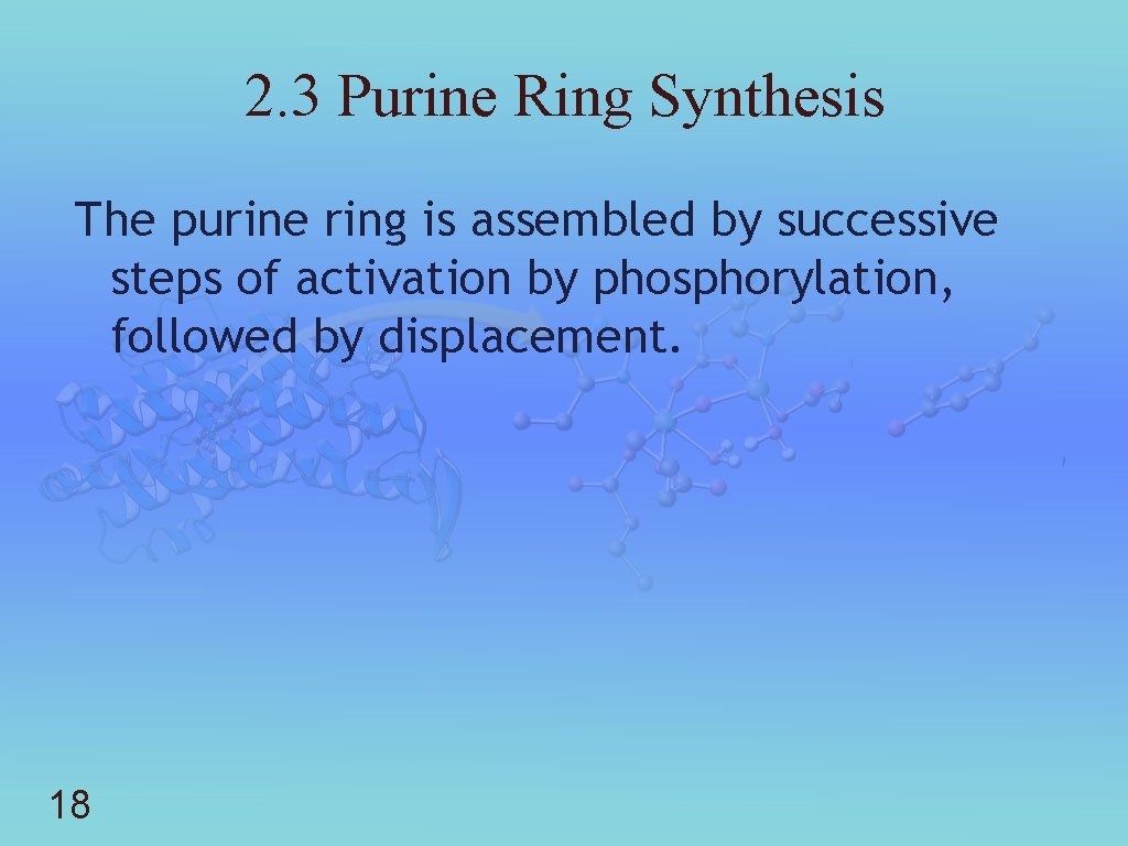 2. 3 Purine Ring Synthesis The purine ring is assembled by successive steps of