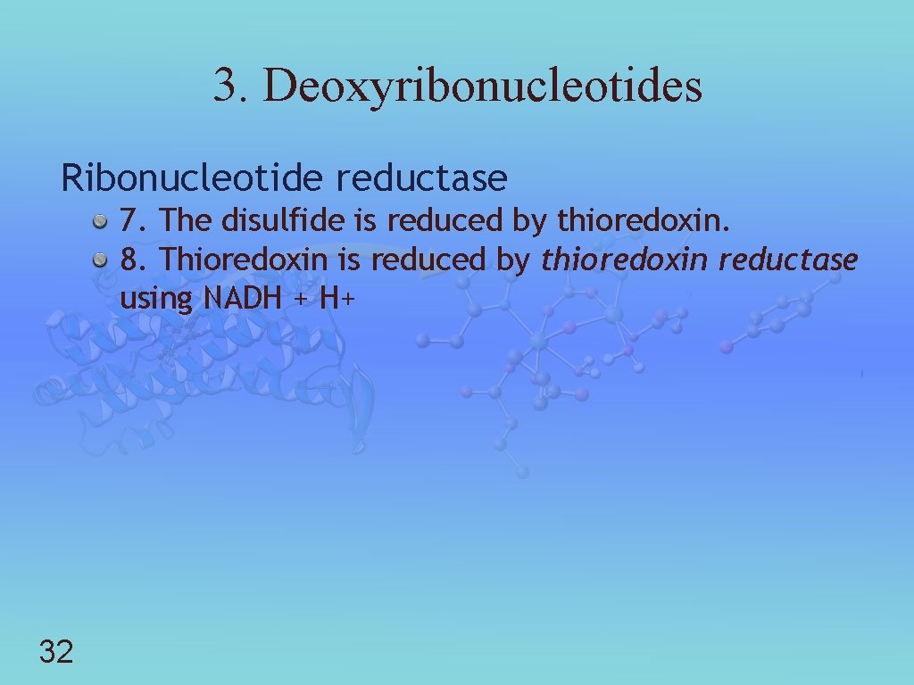 3. Deoxyribonucleotides Ribonucleotide reductase 7. The disulfide is reduced by thioredoxin. 8. Thioredoxin is