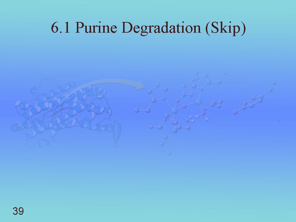 6. 1 Purine Degradation (Skip) 39 