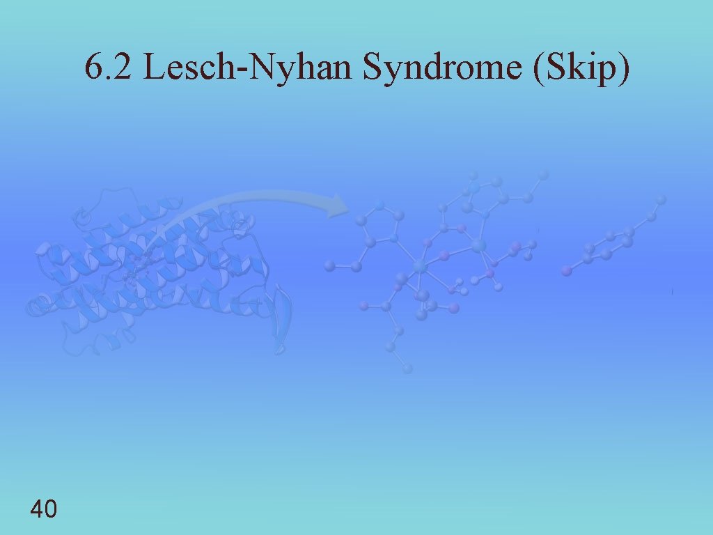 6. 2 Lesch-Nyhan Syndrome (Skip) 40 