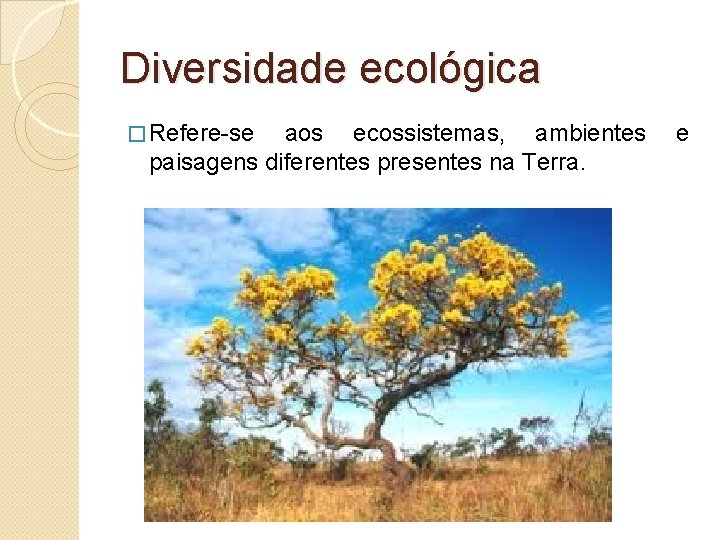 Diversidade ecológica � Refere-se aos ecossistemas, ambientes paisagens diferentes presentes na Terra. e 