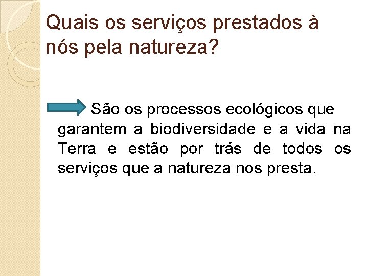 Quais os serviços prestados à nós pela natureza? São os processos ecológicos que garantem