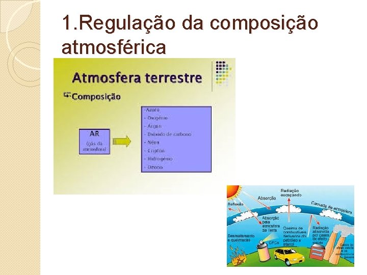 1. Regulação da composição atmosférica 