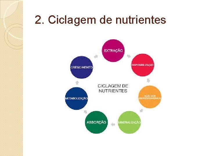 2. Ciclagem de nutrientes 