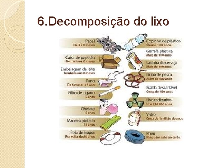 6. Decomposição do lixo 