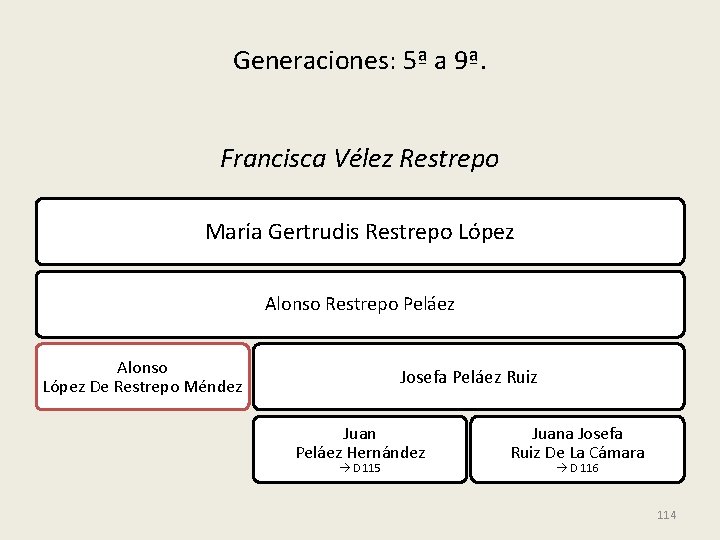 Generaciones: 5ª a 9ª. Francisca Vélez Restrepo María Gertrudis Restrepo López Alonso Restrepo Peláez