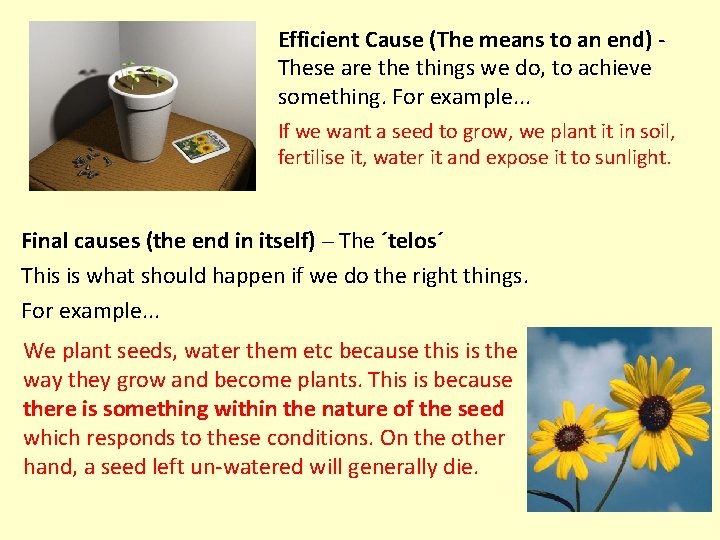 Efficient Cause (The means to an end) These are things we do, to achieve