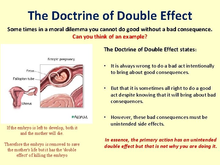 The Doctrine of Double Effect Some times in a moral dilemma you cannot do