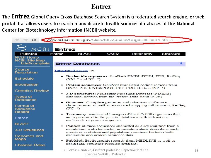 Entrez The Entrez Global Query Cross-Database Search System is a federated search engine, or