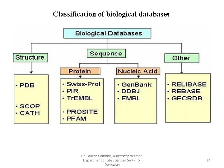 Classification of biological databases Dr. Lokesh Gambhir, Assistant professor, Department of Life Sciences, SGRRITS,