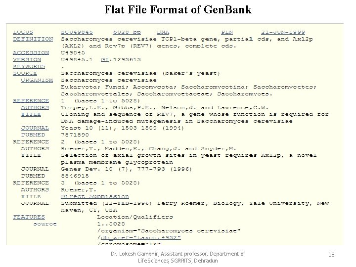 Flat File Format of Gen. Bank Dr. Lokesh Gambhir, Assistant professor, Department of Life