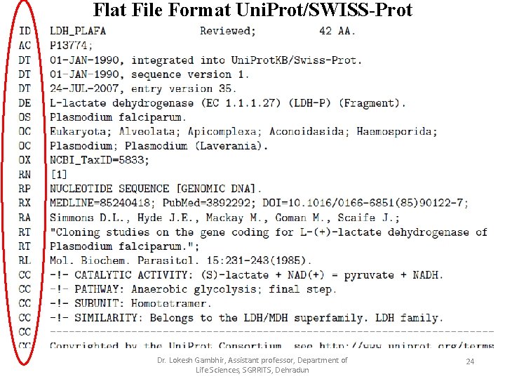 Flat File Format Uni. Prot/SWISS-Prot Dr. Lokesh Gambhir, Assistant professor, Department of Life Sciences,