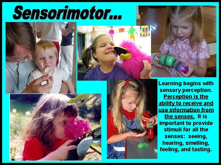 Learning begins with sensory perception. Perception is the ability to receive and use information