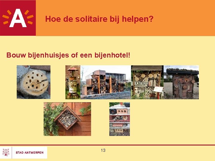 Hoe de solitaire bij helpen? Bouw bijenhuisjes of een bijenhotel! 13 