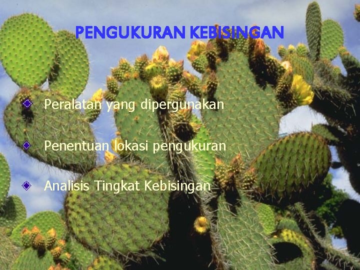 PENGUKURAN KEBISINGAN Peralatan yang dipergunakan Penentuan lokasi pengukuran Analisis Tingkat Kebisingan 