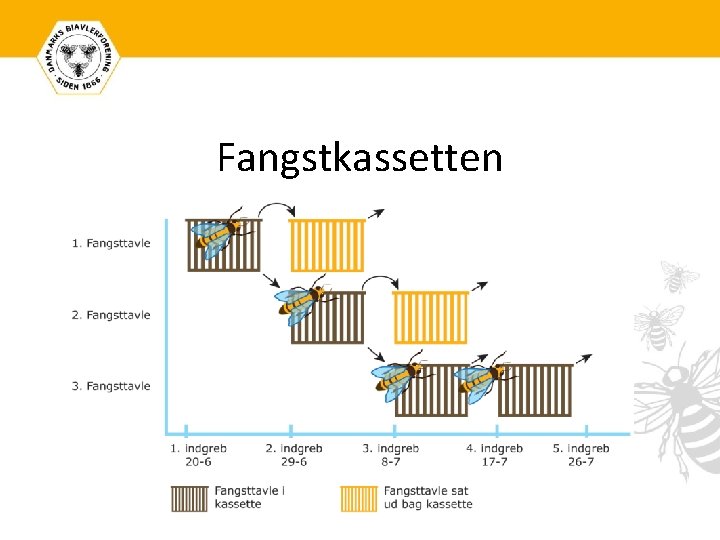 Fangstkassetten 