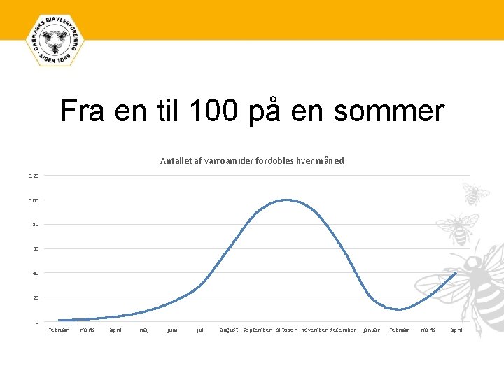 Fra en til 100 på en sommer Antallet af varroamider fordobles hver måned 120