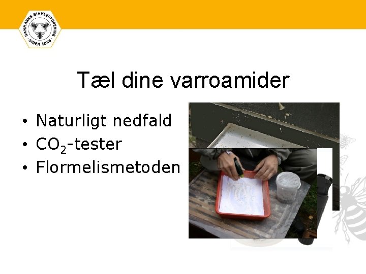 Tæl dine varroamider • Naturligt nedfald • CO 2 -tester • Flormelismetoden 