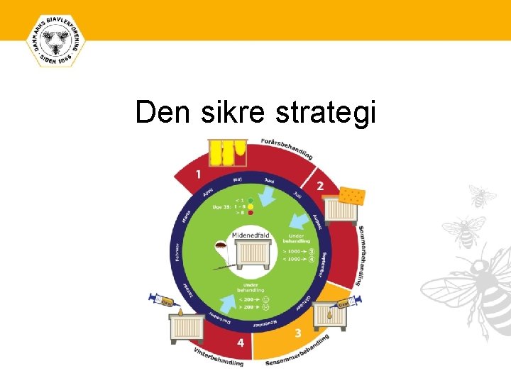 Den sikre strategi 