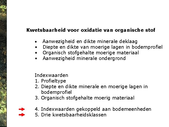 Kwetsbaarheid voor oxidatie van organische stof • • Aanwezigheid en dikte minerale deklaag Diepte