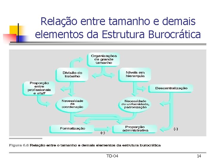 Relação entre tamanho e demais elementos da Estrutura Burocrática TO-04 14 