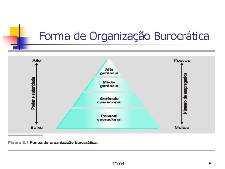 Forma de Organização Burocrática TO-04 6 