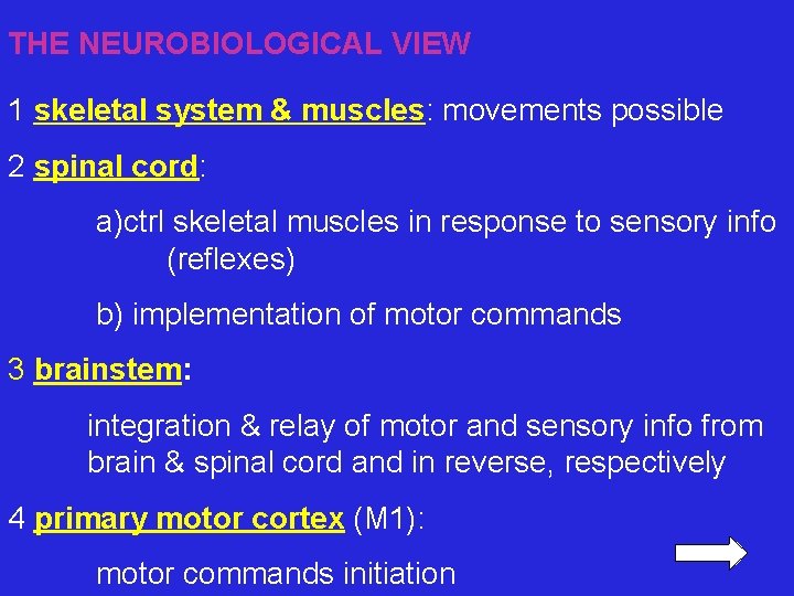 THE NEUROBIOLOGICAL VIEW 1 skeletal system & muscles: movements possible 2 spinal cord: a)ctrl