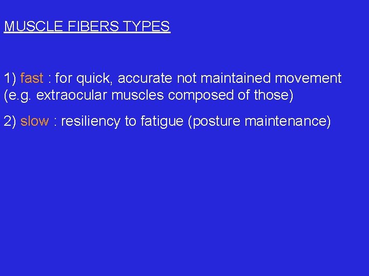 MUSCLE FIBERS TYPES 1) fast : for quick, accurate not maintained movement (e. g.