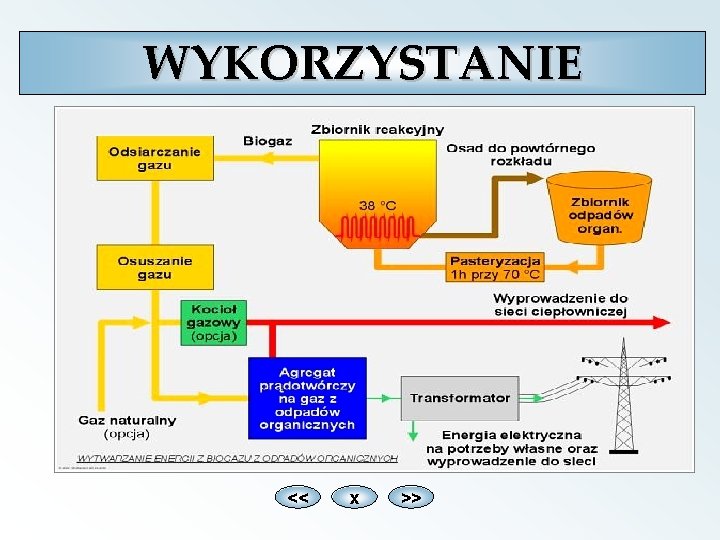 WYKORZYSTANIE << x >> 