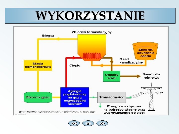 WYKORZYSTANIE << x >> 