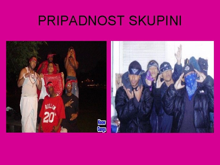 PRIPADNOST SKUPINI 