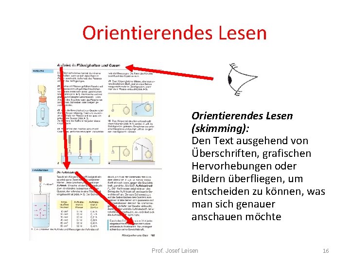 Orientierendes Lesen (skimming): Den Text ausgehend von Überschriften, grafischen Hervorhebungen oder Bildern überfliegen, um