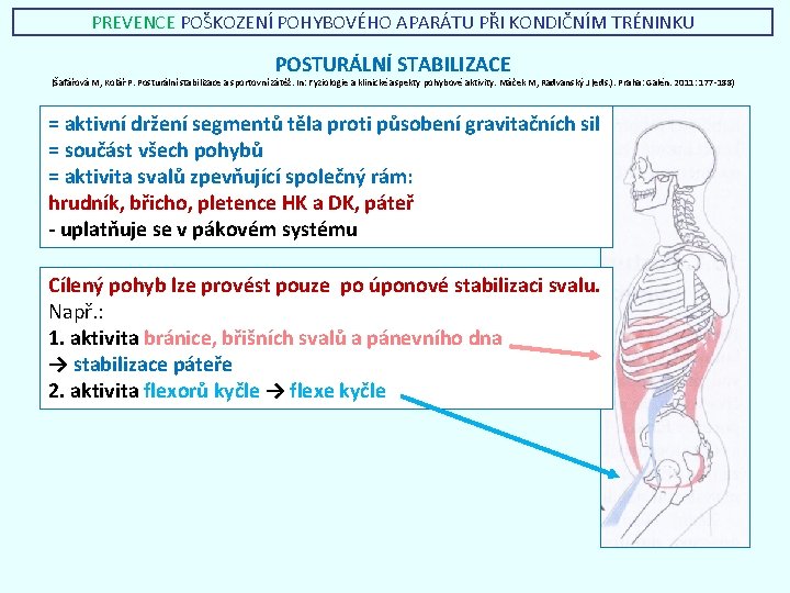 PREVENCE POŠKOZENÍ POHYBOVÉHO APARÁTU PŘI KONDIČNÍM TRÉNINKU POSTURÁLNÍ STABILIZACE (Šafářová M, Kolář P. Posturální