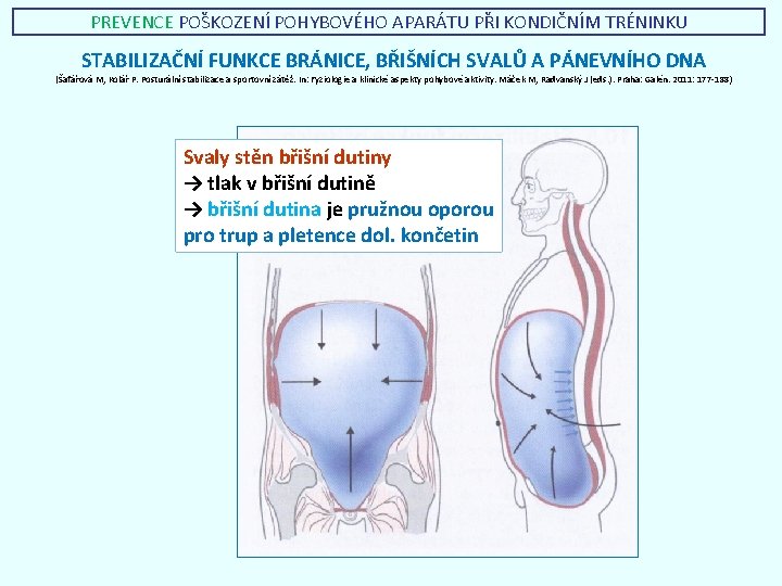 PREVENCE POŠKOZENÍ POHYBOVÉHO APARÁTU PŘI KONDIČNÍM TRÉNINKU STABILIZAČNÍ FUNKCE BRÁNICE, BŘIŠNÍCH SVALŮ A PÁNEVNÍHO