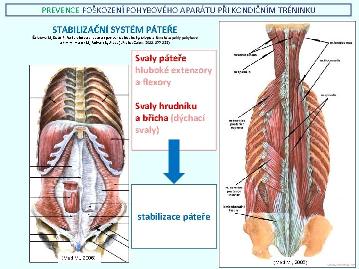 PREVENCE POŠKOZENÍ POHYBOVÉHO APARÁTU PŘI KONDIČNÍM TRÉNINKU STABILIZAČNÍ SYSTÉM PÁTEŘE (Šafářová M, Kolář P.