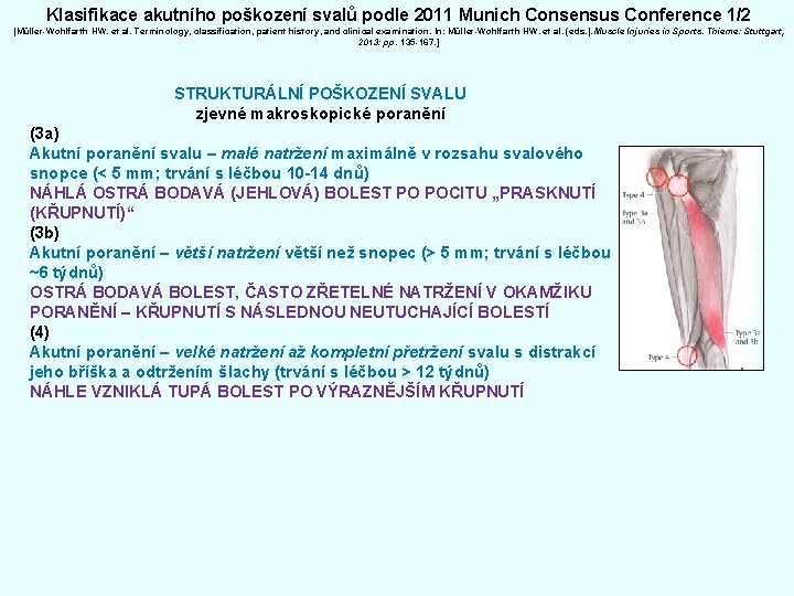 Klasifikace akutního poškození svalů podle 2011 Munich Consensus Conference 1/2 [Müller-Wohlfarth HW. et al.