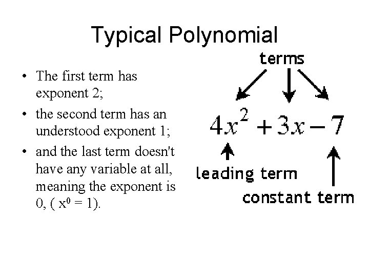 Typical Polynomial • The first term has exponent 2; • the second term has