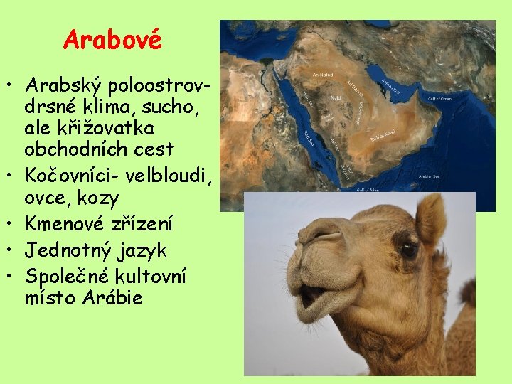 Arabové • Arabský poloostrovdrsné klima, sucho, ale křižovatka obchodních cest • Kočovníci- velbloudi, ovce,