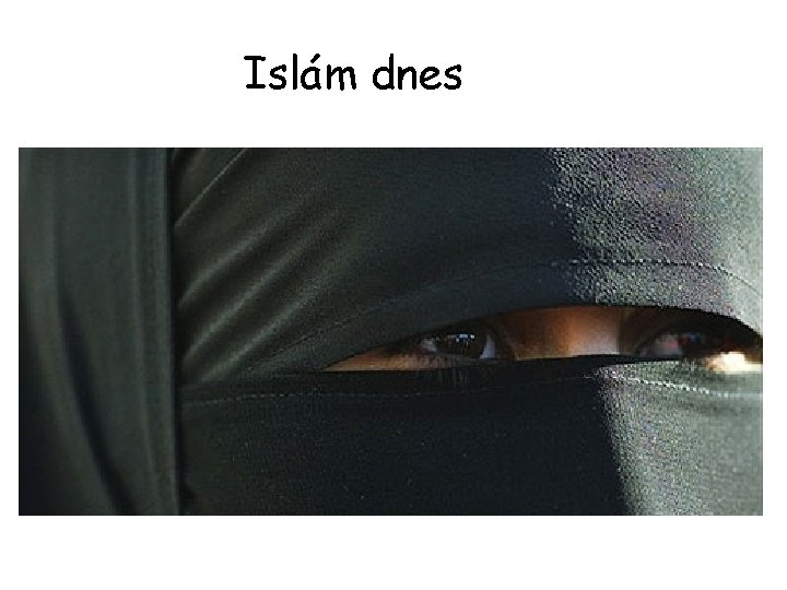 Islám dnes 