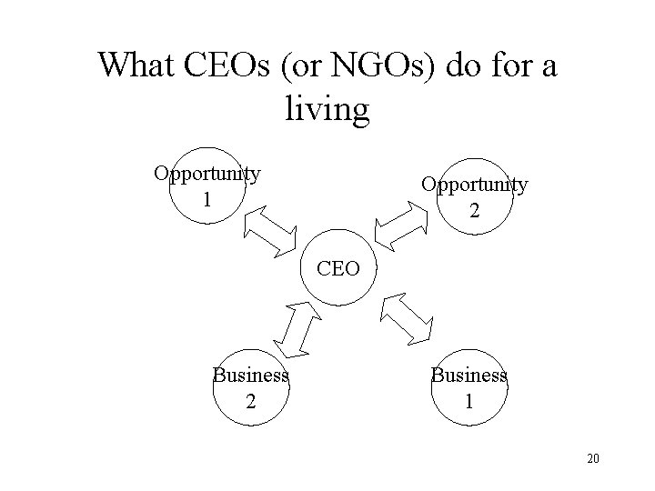 What CEOs (or NGOs) do for a living Opportunity 1 Opportunity 2 CEO Business