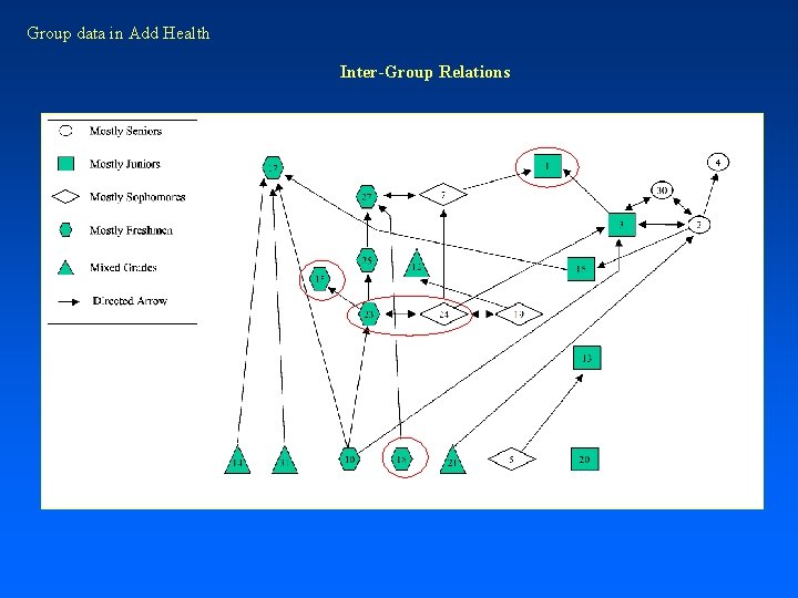 Group data in Add Health Inter-Group Relations 