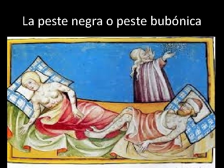 La peste negra o peste bubónica 