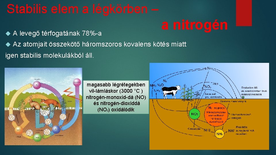 Stabilis elem a légkörben – a nitrogén A levegő térfogatának 78%-a Az atomjait összekötő