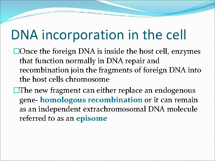 DNA incorporation in the cell �Once the foreign DNA is inside the host cell,