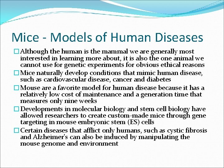 Mice - Models of Human Diseases �Although the human is the mammal we are