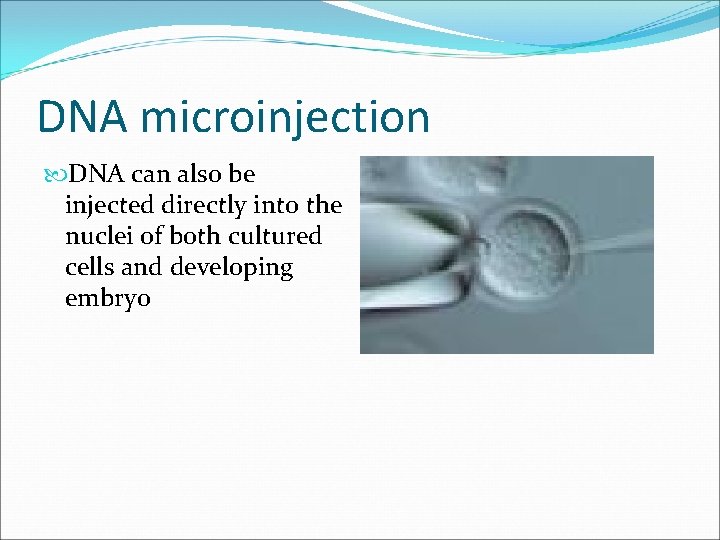 DNA microinjection DNA can also be injected directly into the nuclei of both cultured