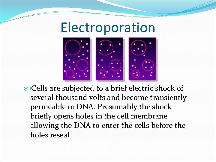 Electroporation Cells are subjected to a brief electric shock of several thousand volts and