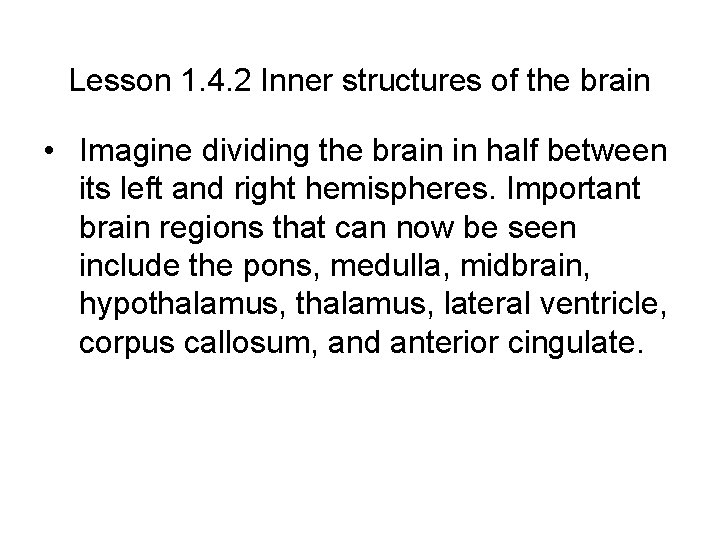 Lesson 1. 4. 2 Inner structures of the brain • Imagine dividing the brain