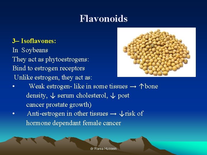 Flavonoids 3– Isoflavones: In Soybeans They act as phytoestrogens: Bind to estrogen receptors Unlike