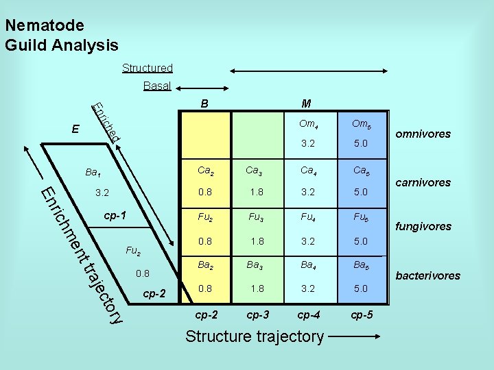 Nematode Guild Analysis Structured Basal h ric En B ed E M Ba 1